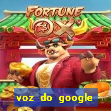 voz do google tradutor homem